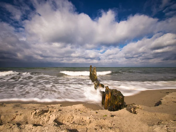 На берегу Балтийского моря — стоковое фото