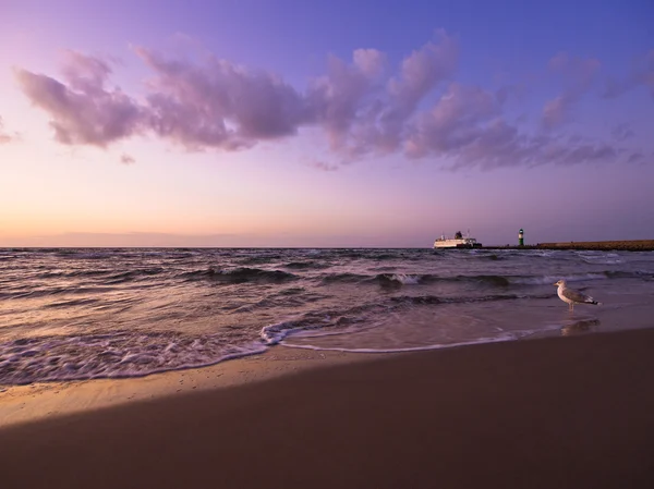 Ilta rannalla — kuvapankkivalokuva