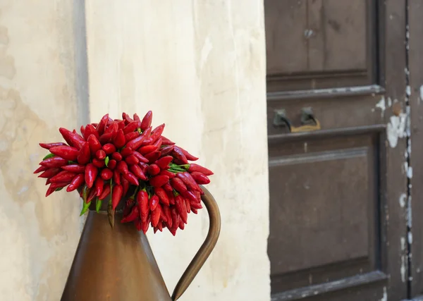 Brocca con mazzetto di peperoni rossi — Foto Stock