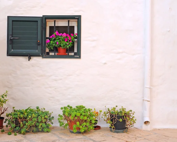 Arrangement of flowerpots in the street — Stock Photo, Image