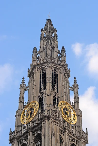Katedra Marii Panny w Antwerpii — Zdjęcie stockowe