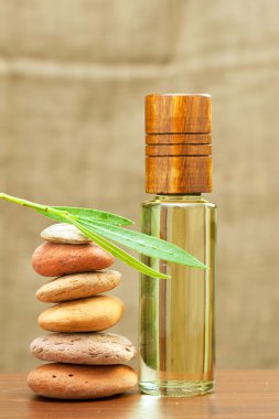 temel spa yağı ve Isıtma taşlar