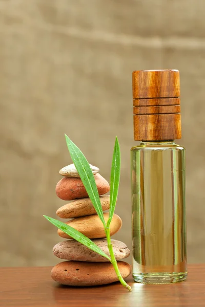 temel spa yağı ve Isıtma taşlar