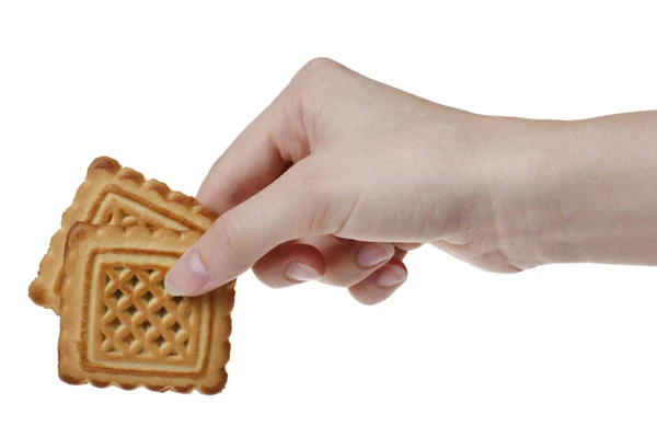 Two tasty cookies in woman's hand — Φωτογραφία Αρχείου