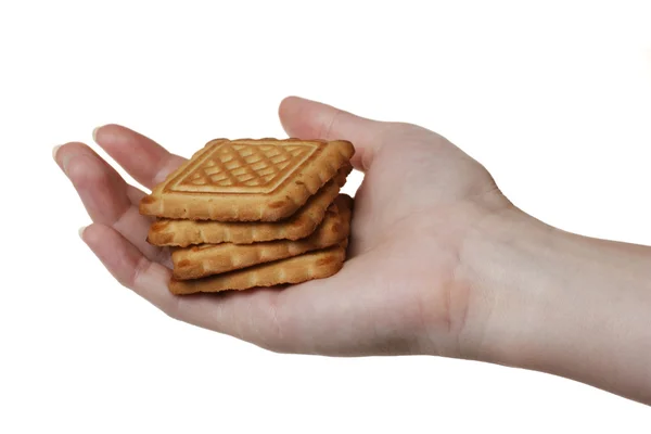 Muitos biscoitos saborosos na palma da mulher — Fotografia de Stock
