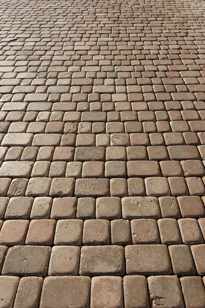 Beige pavement — Stock Photo, Image