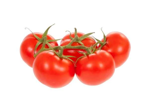 Trusse tomaten met uitknippad Stockfoto