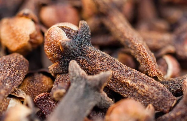 The cloves — Stock Photo, Image