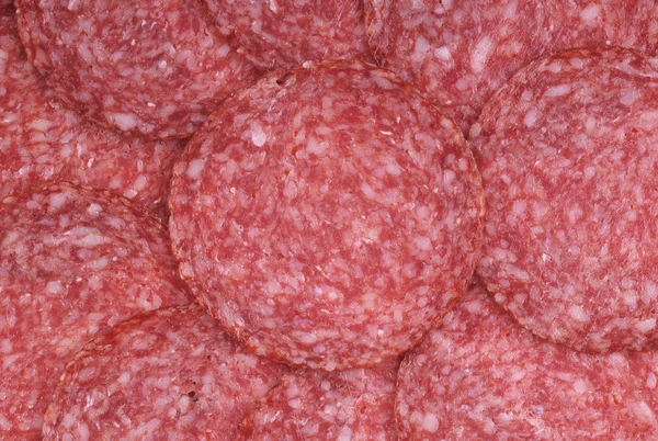 stock image Salami