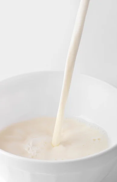 stock image The milk