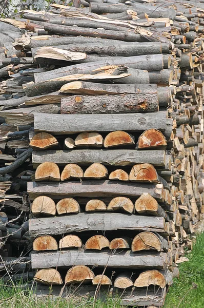 Ψιλοκομμένο ξύλο — Φωτογραφία Αρχείου