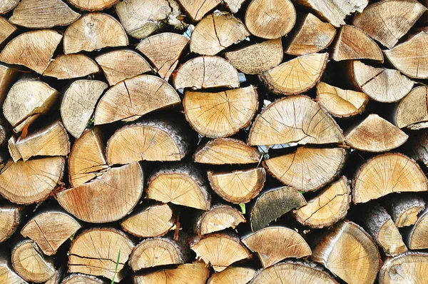 A madeira — Fotografia de Stock