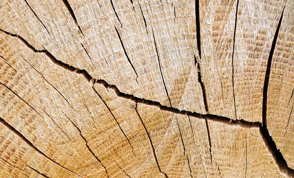 Il legno — Foto Stock