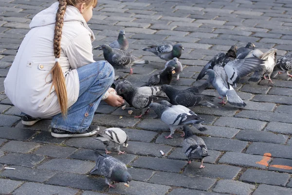 Kid feeding pigeons — Stock Photo, Image