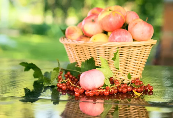 Спелые яблоки . — стоковое фото