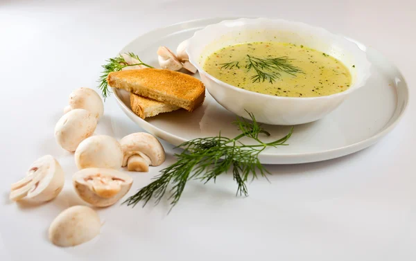 Mushroom soup. — Stock Photo, Image