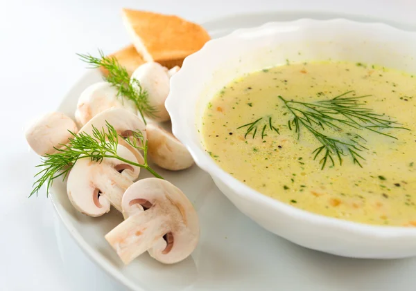 Mushroom soup. — Stock Image Mushroom soup. Stock Picture