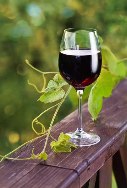 Rött vin. — Stockfoto