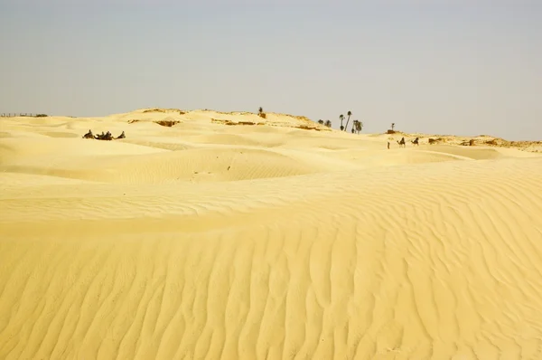 stock image Sahara desert, Tunisia