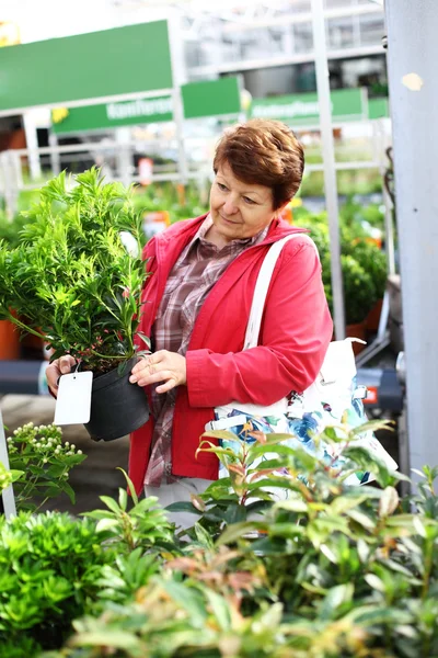 Seniorin kauft Pflanzen — Stockfoto