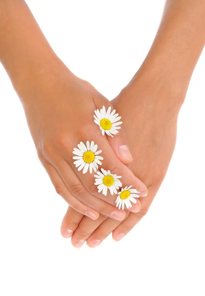 Ręce młoda kobieta z główek kwiatów rumianku — Zdjęcie stockowe