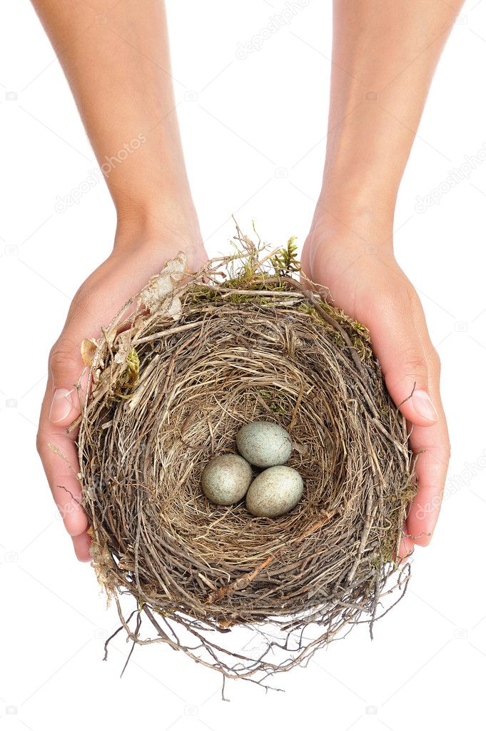 Young woman holding blackbird nest over white background