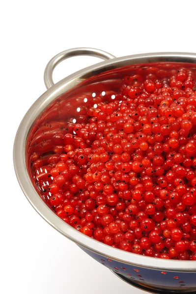 Friss piros ribizli bogyókat vízcseppek szűrőedény - elszigetelt — Stock Fotó