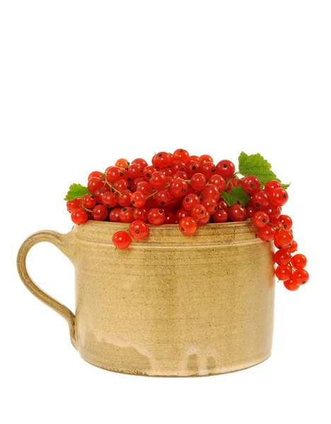 Kerámia csésze teljes bogyók friss piros ribizli — Stock Fotó