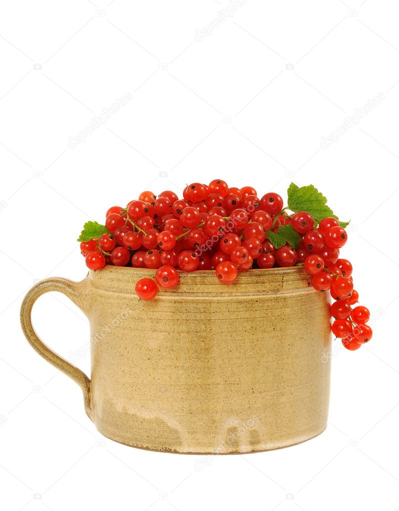Ceramic cup full of fresh red currant berries