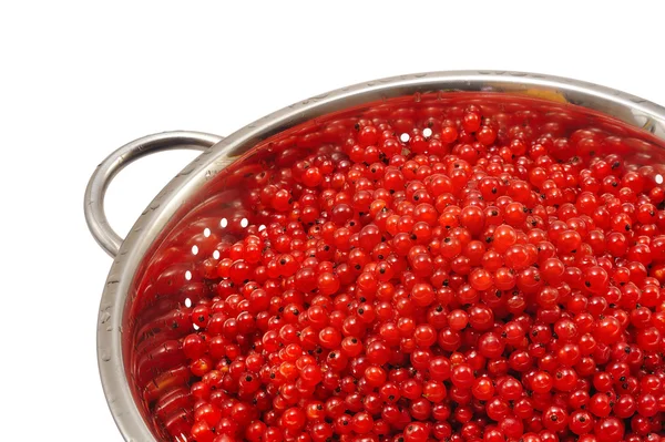 Bayas frescas de grosella roja con gotas de agua en el colador - aisladas — Foto de Stock