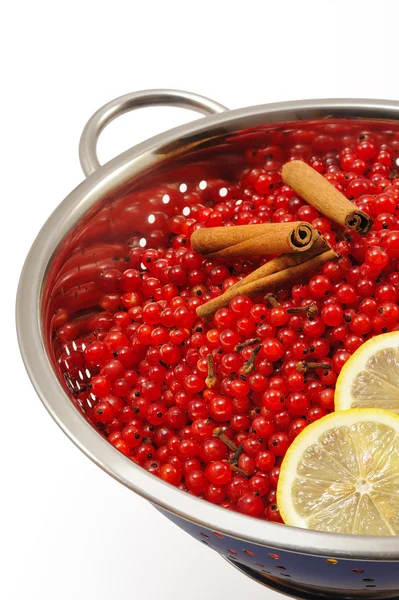 Piros ribizli bogyós gyümölcsök és összetevők teszi lekvár — Stock Fotó