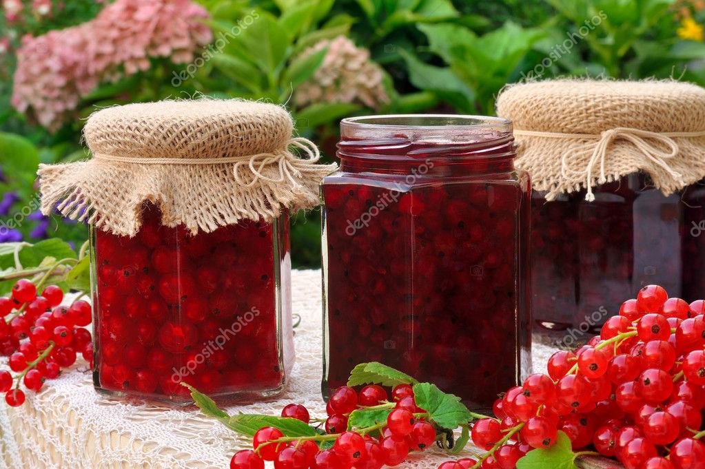 Pots de confiture de groseilles rouges maison aux fruits frais image libre de droit par brozova