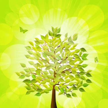 Lush green tree and lens flares clipart