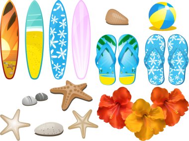 Beach and tropical elements clipart