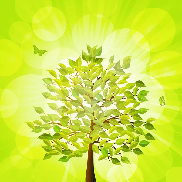 무성 한 녹색 나무와 렌즈 플레어 — 스톡 벡터