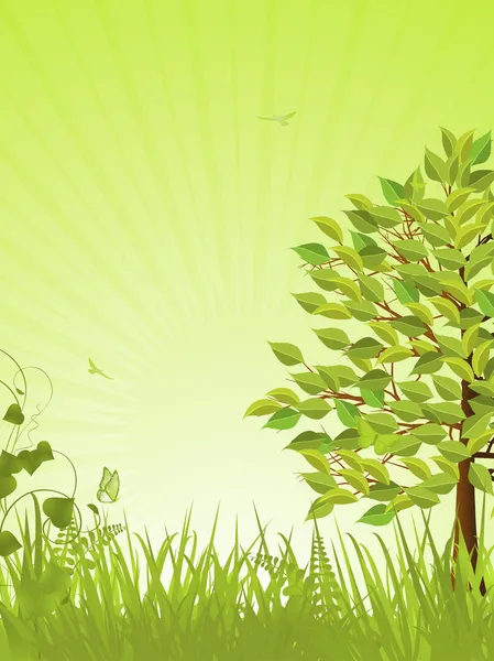 Zelená klidné zázemí a strom — Stockový vektor