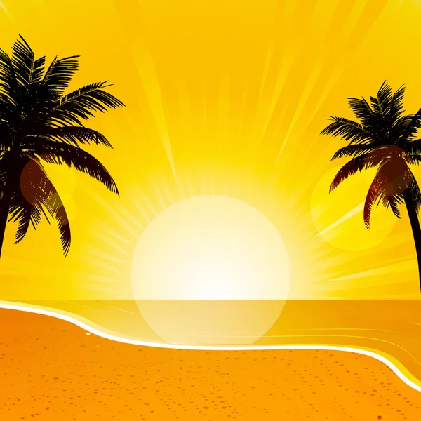 Tropický západ slunce — Stockový vektor
