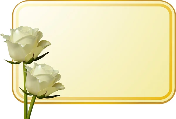 Roses ivoire et tag message — Image vectorielle