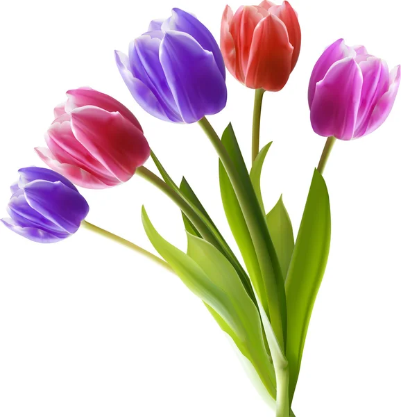 Куча тюльпанов — стоковый вектор