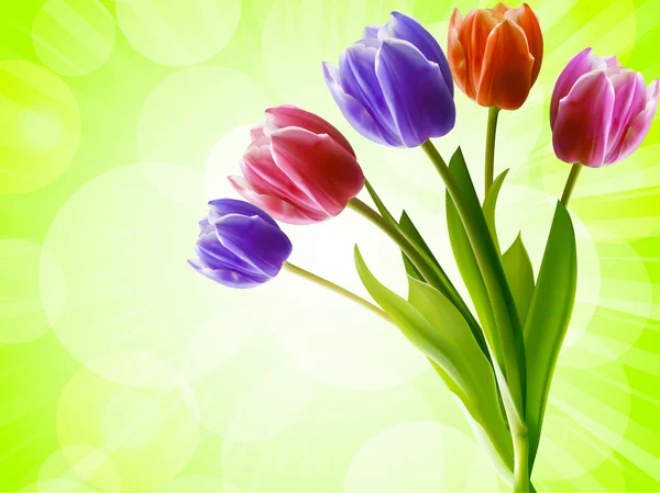Tulipanes sobre un fondo verde — Vector de stock