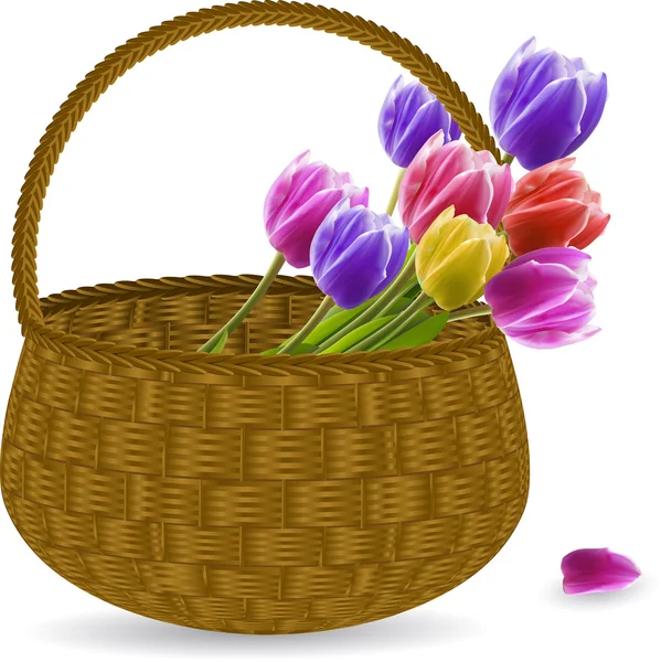 Тюльпаны в плетеной корзине — стоковый вектор
