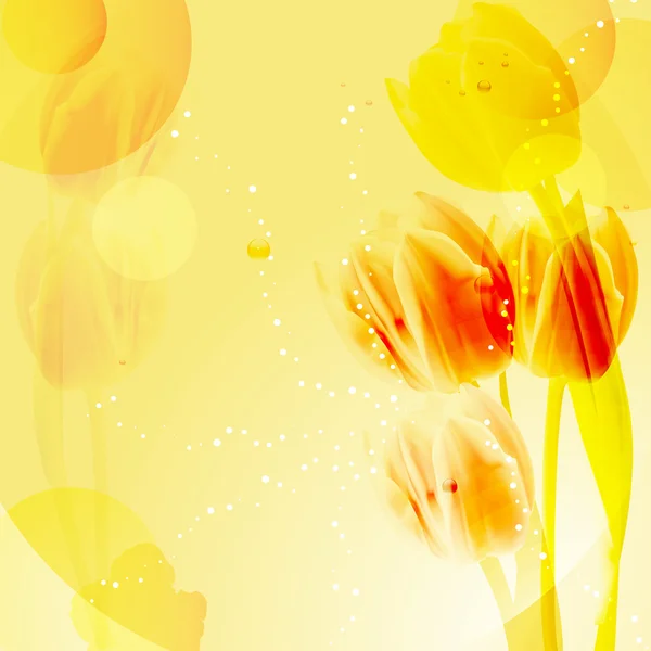 Gelber Tulpenhintergrund — Stockvektor