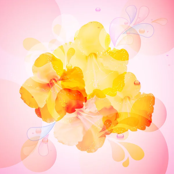 Hibiskusblüten Hintergrund — Stockvektor