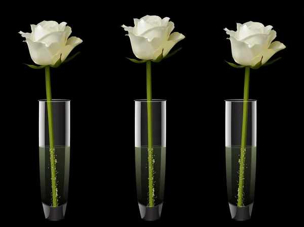 Rosas blancas en floreros — Archivo Imágenes Vectoriales