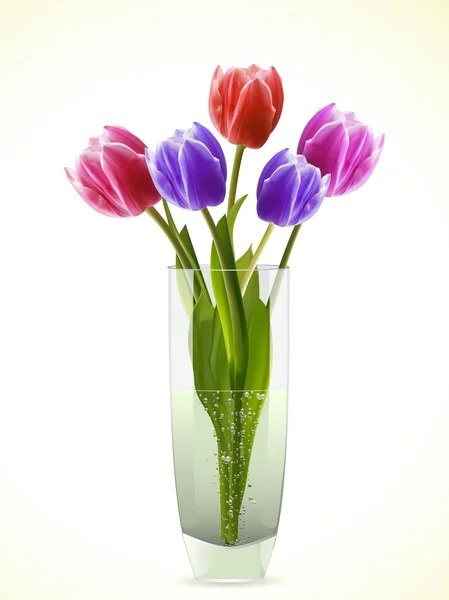 Tulips in a glass vase — Stock Vector