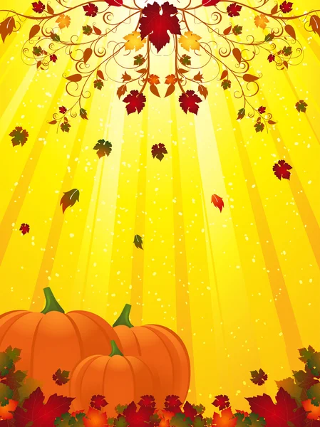 Осенний расцвет и тыквы — стоковый вектор
