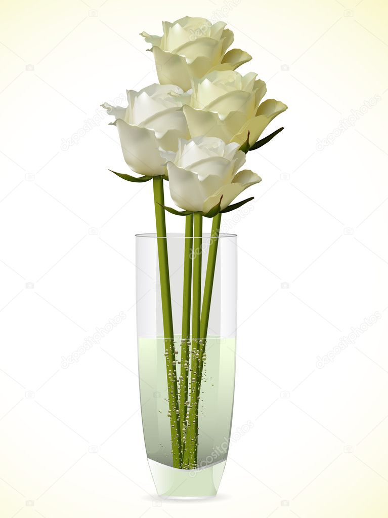 White and ivory roses in a vase