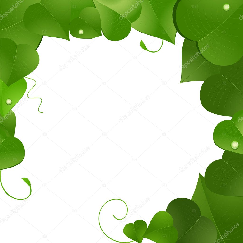 Lush green leaf border