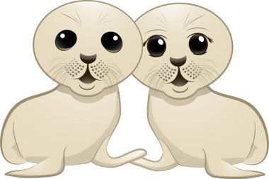 Baby seal couple clipart