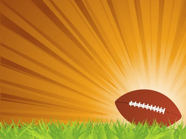 American football on grass — Stock Vector